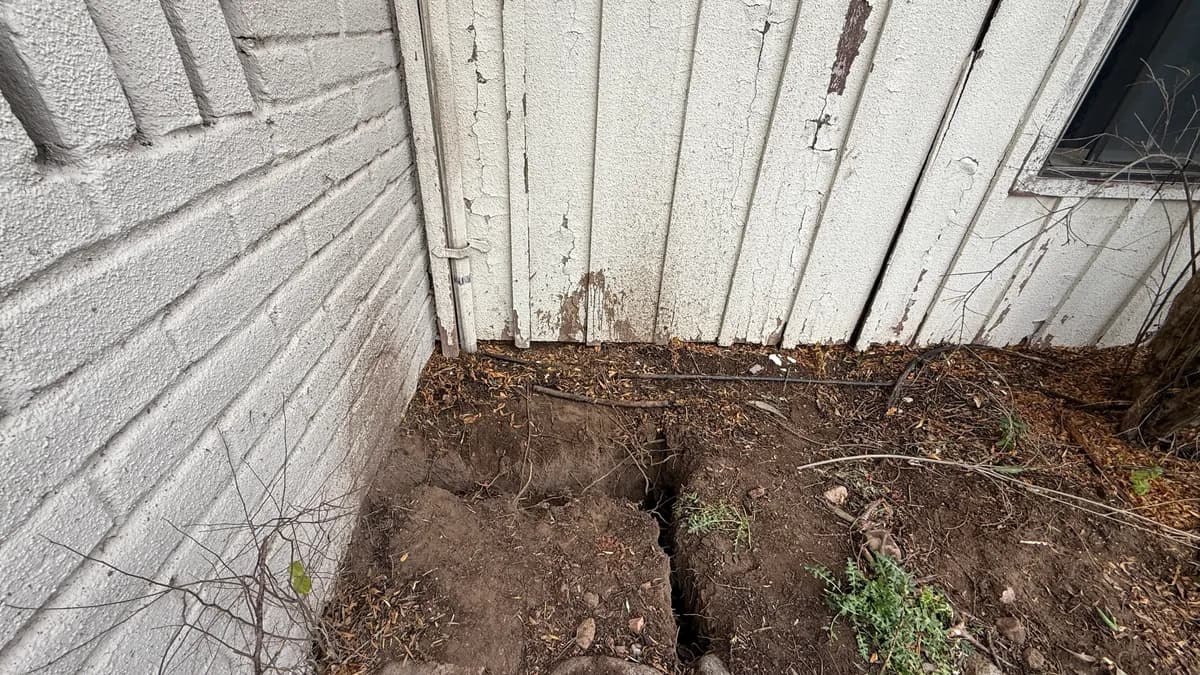 Professional plumbing excavation and repair